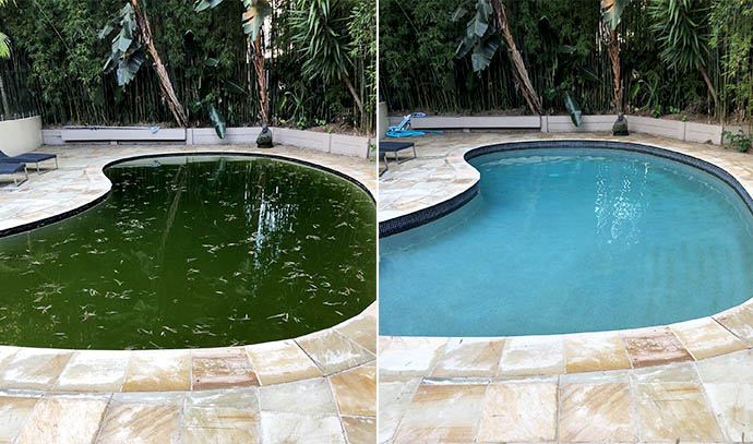 Before and After Pool Recovery